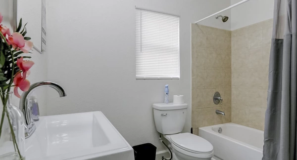 Coliving in Macfarlane Park - West Tampa, Tampa