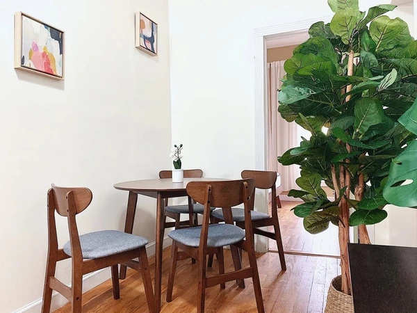 Coliving in Bedford Stuyvesant - Brooklyn, New York
