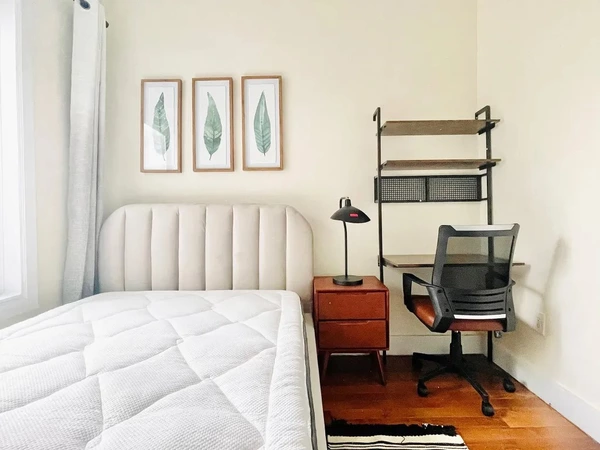 Coliving in Crown Heights - Brooklyn, New York