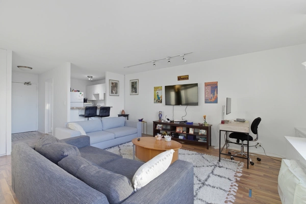 1 bedroom apartment for rent in Gold Coast - Central, Chicago