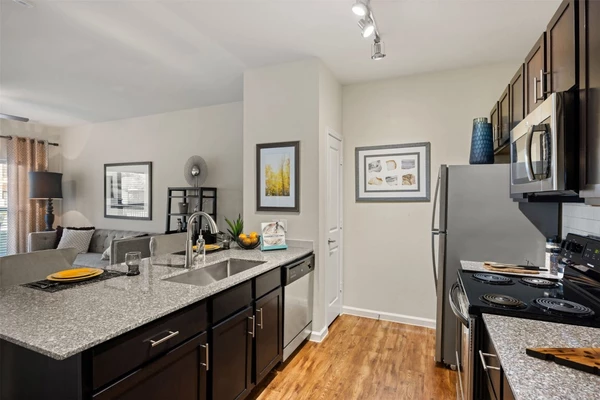 1 bedroom apartment for rent in Garrison Park - South Austin, Austin