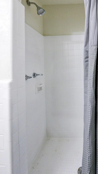 Coliving in Forest Hills Tampa - North Tampa, Tampa