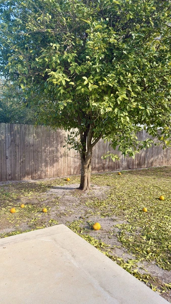 3 bedrooms apartment for rent in Talleyrand - Downtown JAX, Jacksonville