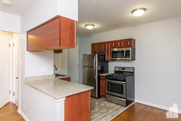 1 bedroom apartment for rent in Boystown - North Side, Chicago