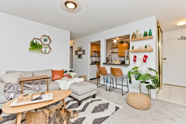 1 bedroom apartment for rent in Lincoln Park - North Side, Chicago