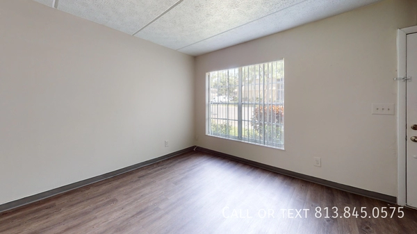 2 bedrooms apartment for rent in Lowry Park North - North Tampa, Tampa