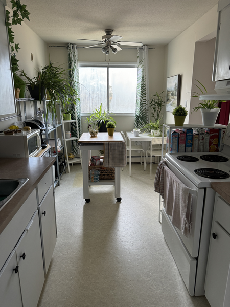 3 bedrooms apartment for rent in Killarney - NE Edmonton, Edmonton