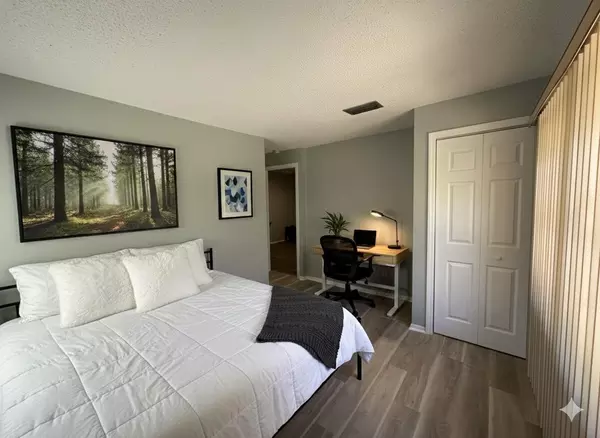 Coliving in Land O' Lakes - North Tampa, Tampa