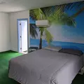 Coliving in Temple Terrace - North Tampa, Tampa