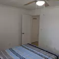 Coliving in Temple Terrace - North Tampa, Tampa