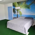 Coliving in Temple Terrace - North Tampa, Tampa