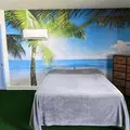 Coliving in Temple Terrace - North Tampa, Tampa