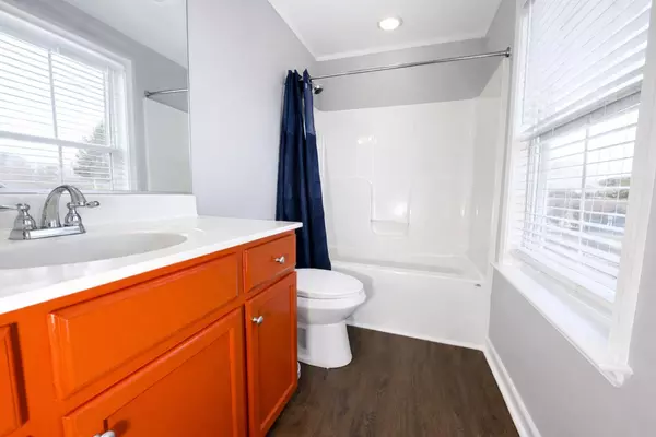 Coliving in Manchester - South RVA, Richmond