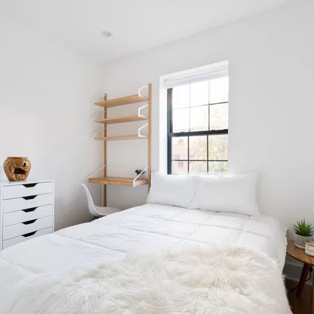 Coliving in Bedford Stuyvesant - Brooklyn, New York