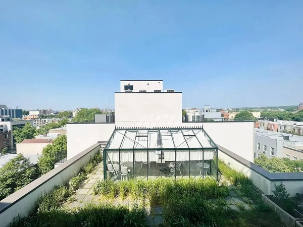 Coliving in Bushwick - Brooklyn, New York