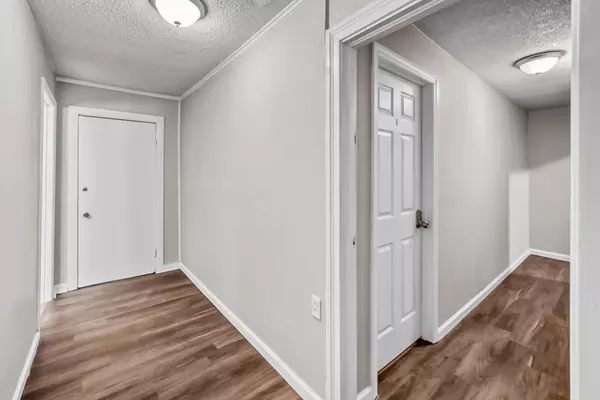 Coliving in San Marco - Southside, Jacksonville