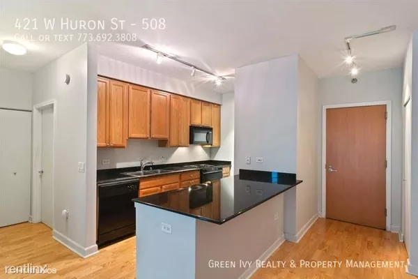 1 bedroom apartment for rent in River North - Central, Chicago