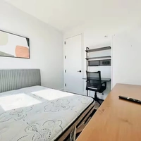 Coliving in Prospect Lefferts Gardens - Brooklyn, New York