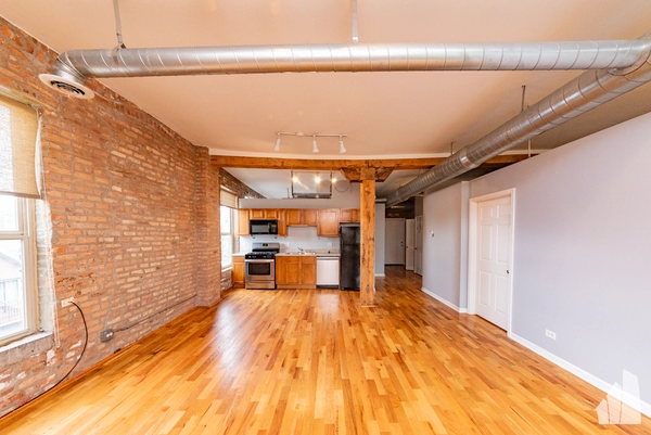 1 bedroom apartment for rent in Lower West Side - West Side, Chicago