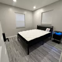 Coliving in Clearwater - Clearwater-St. Petersburg, Tampa