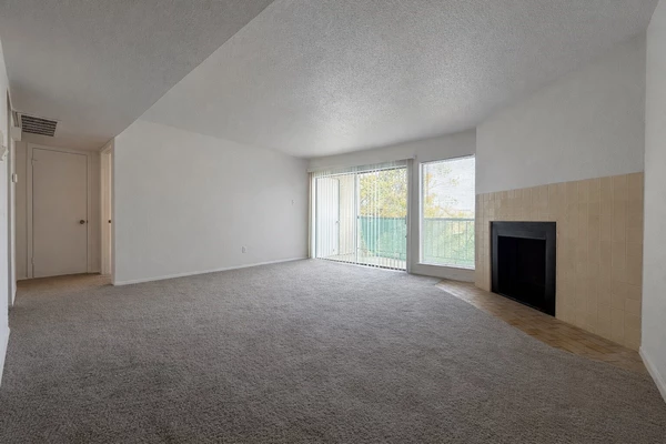 2 bedrooms apartment for rent in Braeswood Place - Inner Loop, Houston