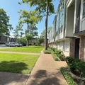1 bedroom apartment for rent in Memorial - West Houston, Houston