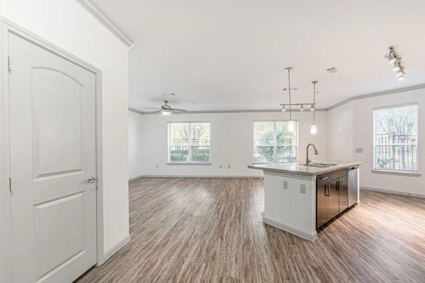 1 bedroom apartment for rent in Braeswood Place - Inner Loop, Houston