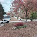 Coliving in Snellville - East Atl, Atlanta