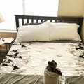 Coliving in Palmdale - South Lancaster, Lancaster