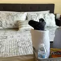 Coliving in Palmdale - South Lancaster, Lancaster