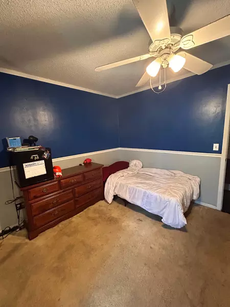 Coliving in Town 'n' Country - West Tampa, Tampa