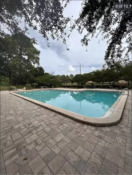 Coliving in Town 'n' Country - West Tampa, Tampa