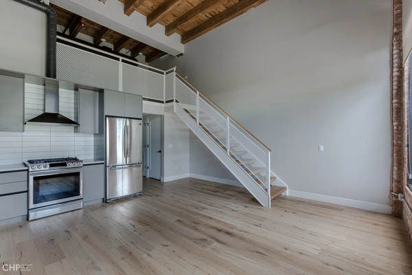 1 bedroom apartment for rent in River West - Central, Chicago