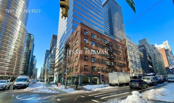 1 bedroom apartment for rent in Midtown East - Manhattan, New York