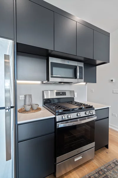 Studio Apartment for rent in Uptown - Far North Side, Chicago