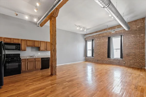1 bedroom apartment for rent in Lower West Side - West Side, Chicago