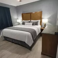 Coliving in Las Vegas - Las Vegas, Las Vegas