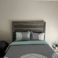 Coliving in North Mountain - Phoenix, Phoenix