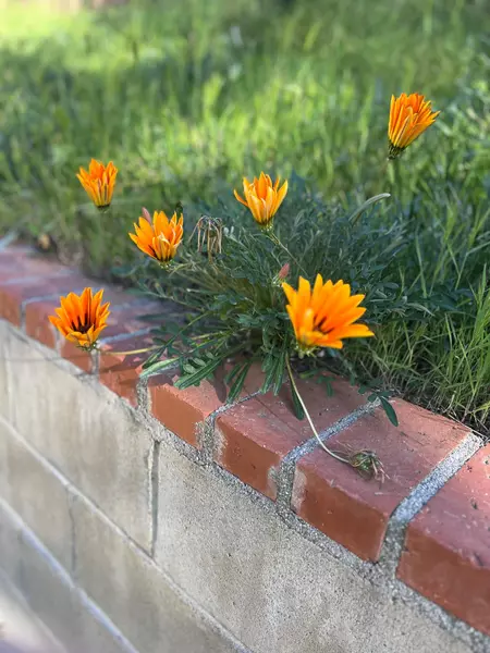 Coliving in Moreno Valley - Inland Empire, Los Angeles