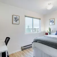 Coliving in Fremont - North Seattle, Seattle