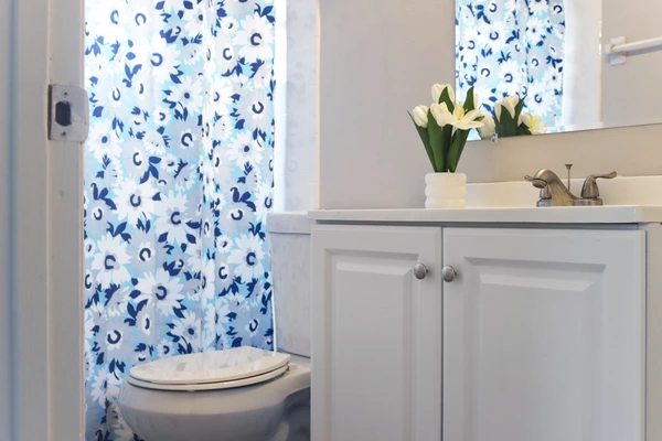 Coliving in University Square - North Tampa, Tampa