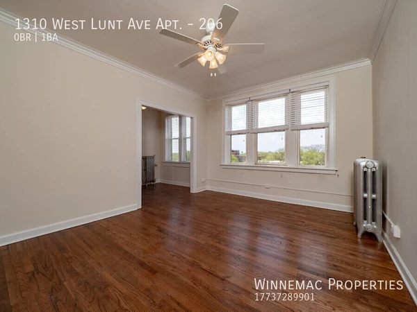 Studio Apartment for rent in Rogers Park - Far North Side, Chicago