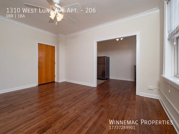 Studio Apartment for rent in Rogers Park - Far North Side, Chicago