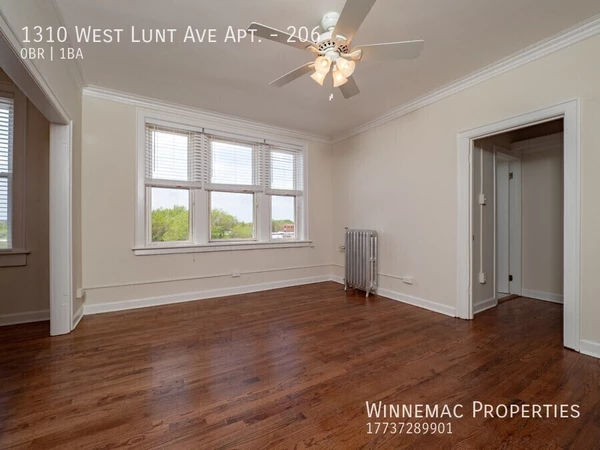 Studio Apartment for rent in Rogers Park - Far North Side, Chicago