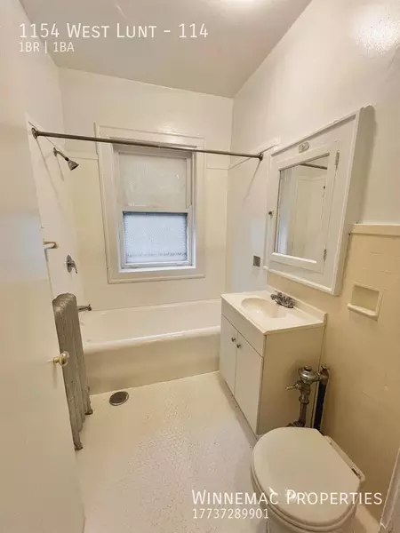 1 bedroom apartment for rent in Rogers Park - Far North Side, Chicago