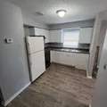 2 bedrooms apartment for rent in University Square - North Tampa, Tampa