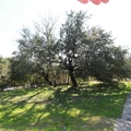 2 bedrooms apartment for rent in Steiner Ranch - West Austin, Austin