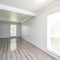 1 bedroom apartment for rent in Westbury - Sw Houston, Houston