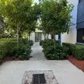 1 bedroom apartment for rent in Downtown Miami - Miami, Miami