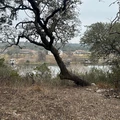 2 bedrooms apartment for rent in Steiner Ranch - West Austin, Austin